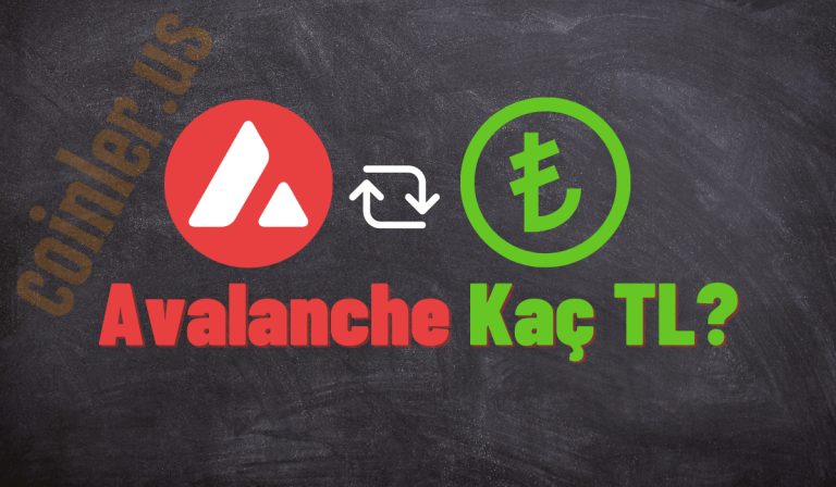 1 AVAX Kaç TL Oldu?