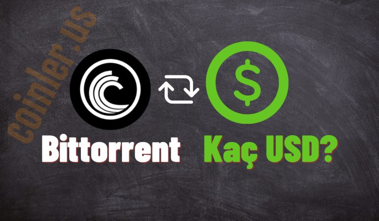 1 BitTorrent Kaç Dolar Oldu?
