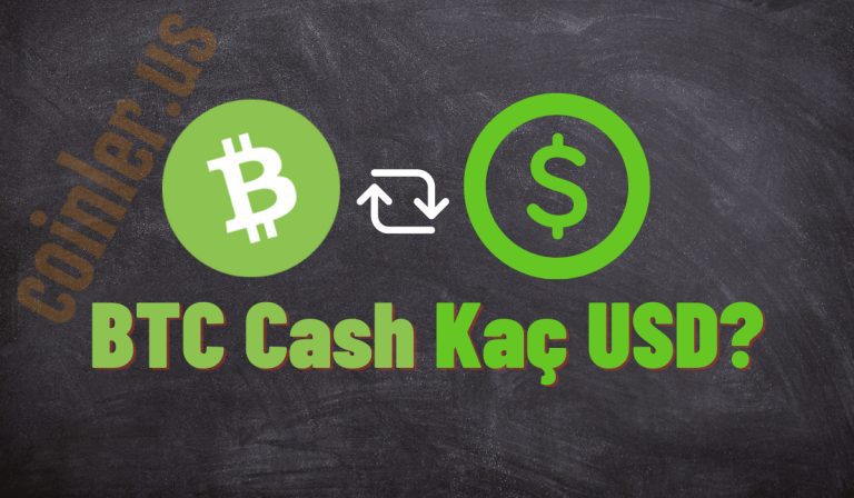 1 BCH Kaç Dolar Oldu?