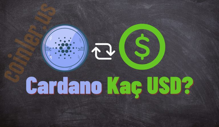 1 Cardano Kaç Dolar Oldu?