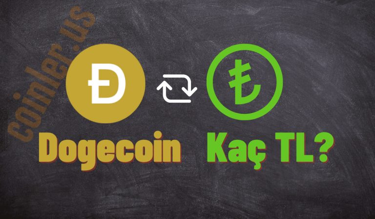 1 Dogecoin Kaç TL
