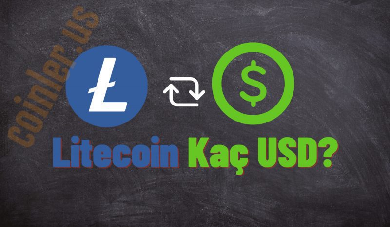 1 LTC Kaç Dolar Oldu?