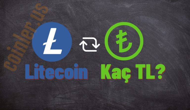 1 Litecoin Kaç TL Oldu?
