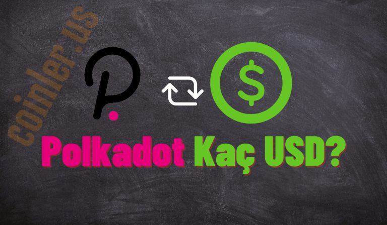 1 DOT Kaç Dolar Oldu?