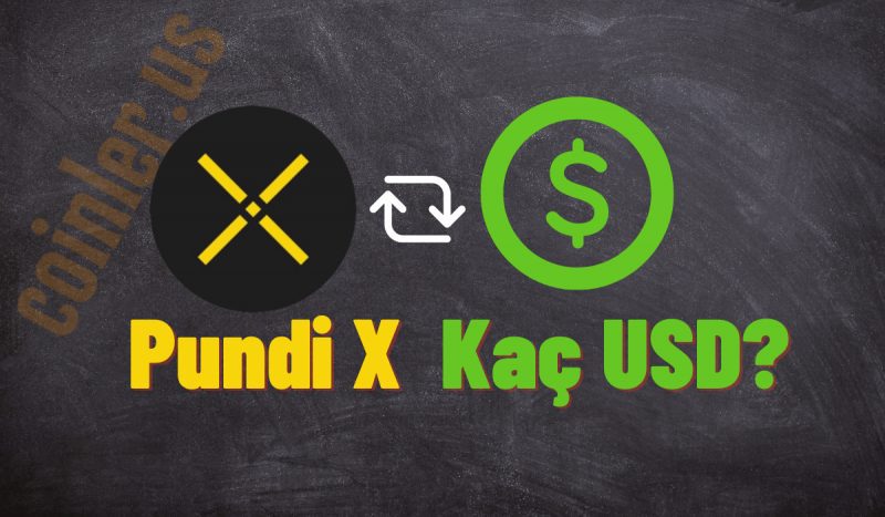1 Pundi X Kaç Dolar Oldu?