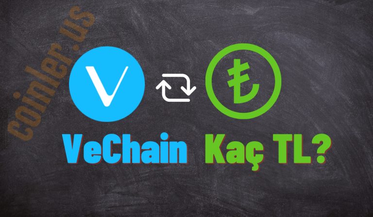 1 VeChain Kaç TL Oldu?