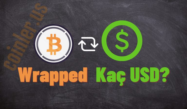 1 WBTC Kaç Dolar Oldu?