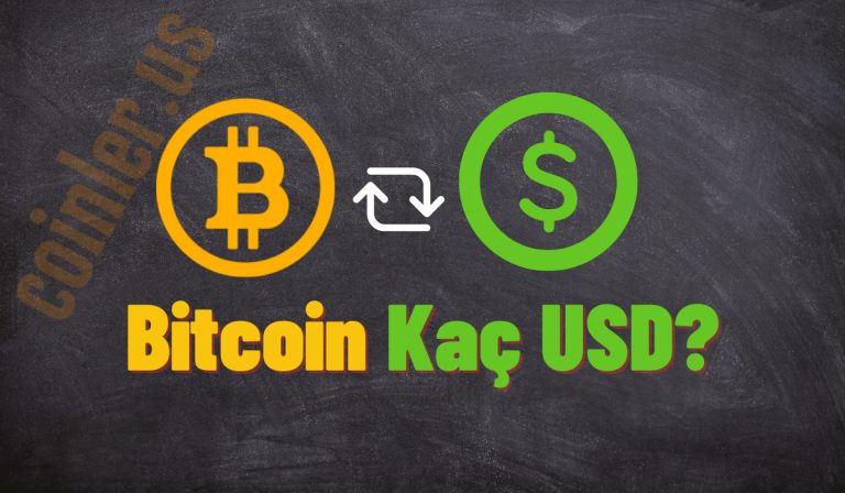 1 Bitcoin Kaç Dolar Oldu?
