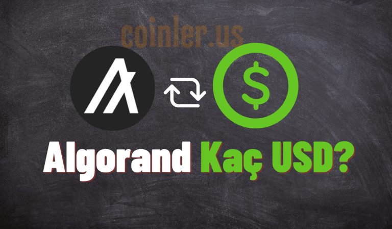 Bugün 1 ALGO Kaç Dolar?