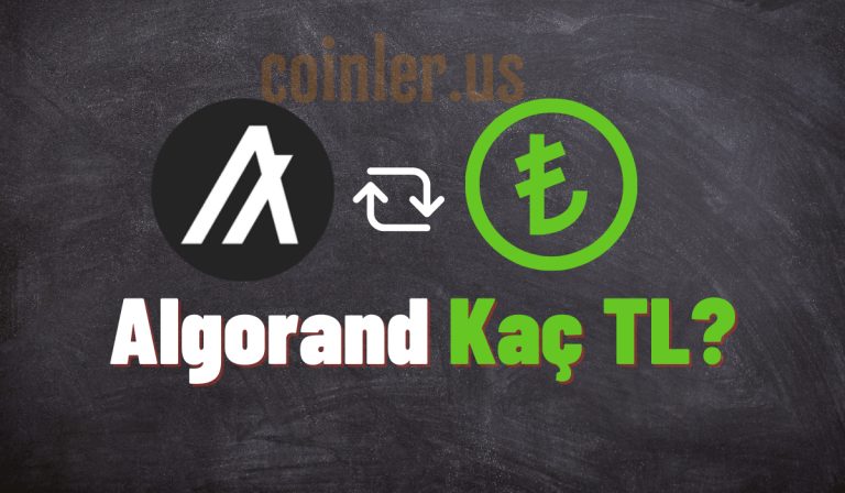 1 Algorand Kaç TL?