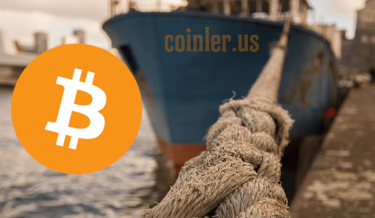Bir Tweet'le Bu Kadar Etkileniyorsa Bitcoin Nasıl Güvenli Bir Liman Olabilir?