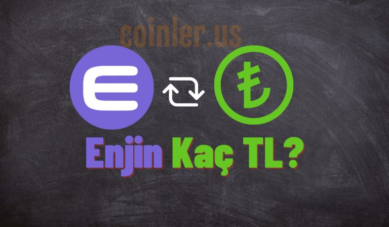 1 Enjin Kaç TL?
