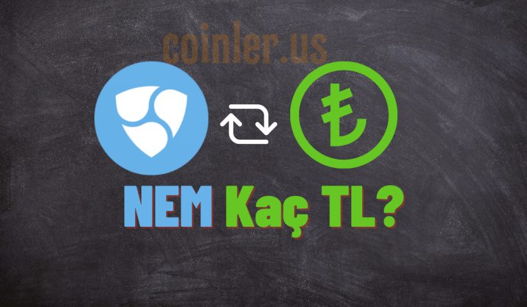 1 NEM Kaç TL?