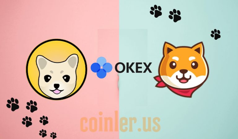 OKEx Borsası AKITA ve KISHU’yu Listeledi