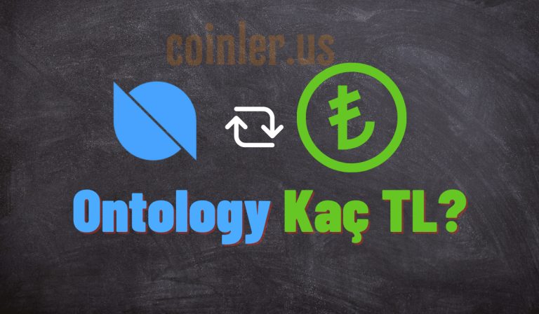 1 Ontology Kaç TL?