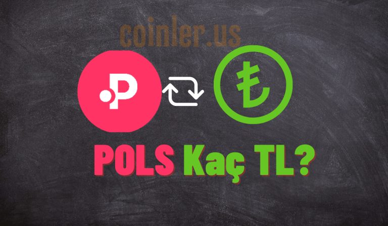 1 POLS Kaç TL?