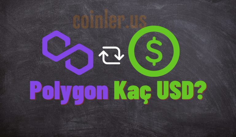 1 MATIC Kaç Dolar?