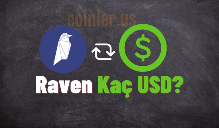 1 Ravencoin Kaç Dolar?