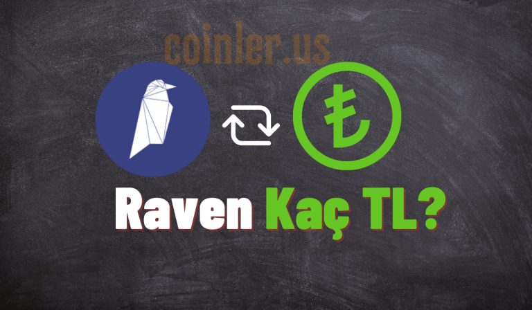 1 Ravencoin Kaç TL?