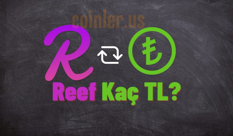 1 REEF Kaç TL?