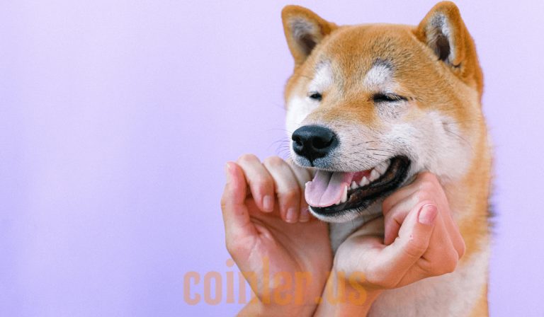 Vitalik Buterin, Dogecoin Katili Denen SHIBA’yı Öldürdü