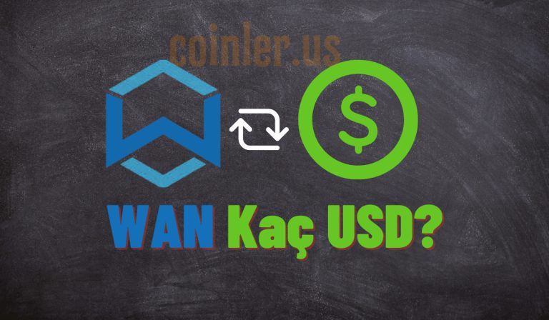 1 WAN Kaç Dolar?