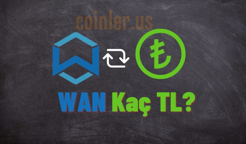 1 WAN Kaç TL?