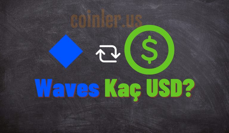 1 WAVES Kaç Dolar?