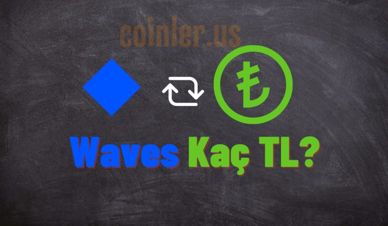 1 WAVES Kaç TL?