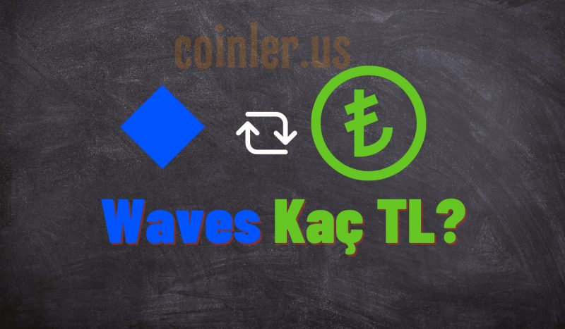 1 WAVES Kaç TL?