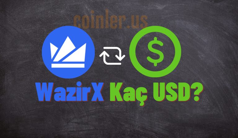 1 WazirX Coin Kaç Dolar?