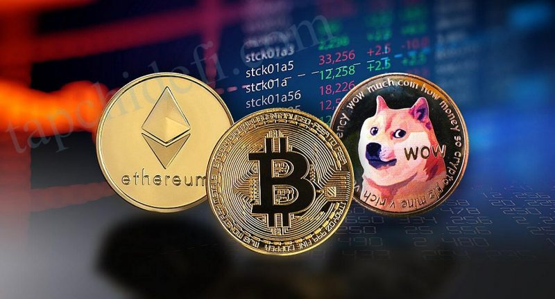 Bitcoin, ETH, DOGE ve SOL’a Konan 1.000 Dolar Bakın Ne Oldu!
