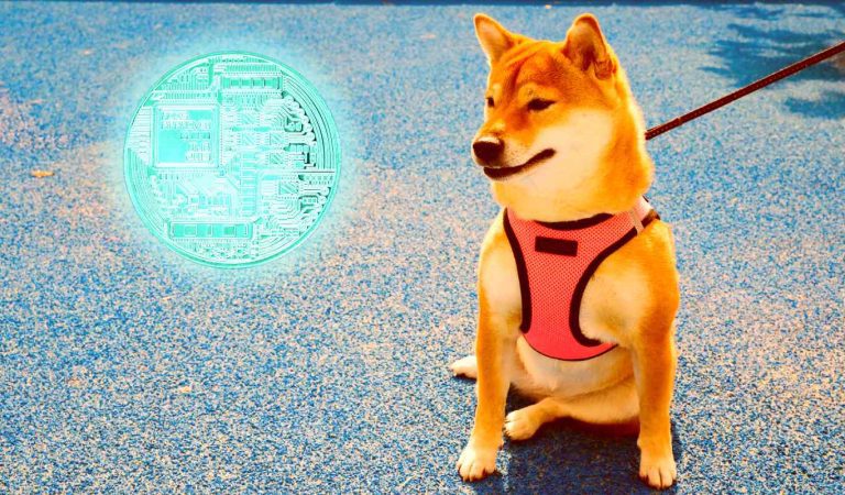 Büyükleri Devirdi: Bu Meme Coin, Toplumsal Medya Patlaması Yaşıyor!