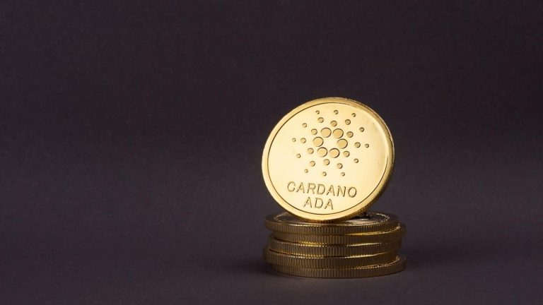 Dev Şirketten “Şoke Eden” Cardano ve Ripple Tahmini!