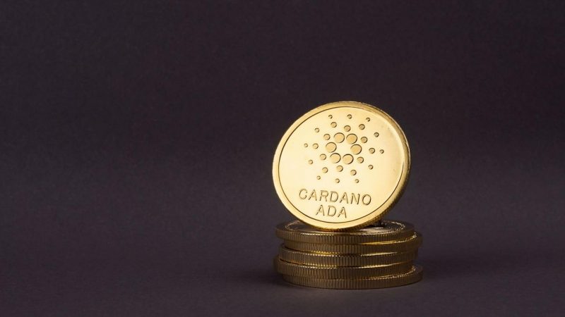 Dev Şirketten “Şoke Eden” Cardano ve Ripple Tahmini!