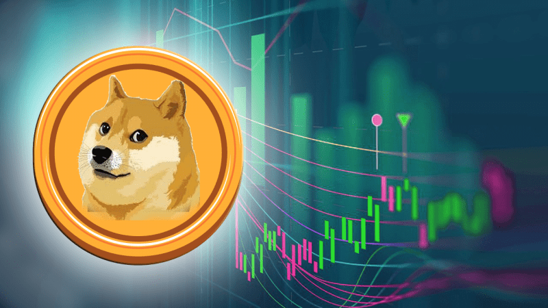 DOGE ve Bu 4 Altcoin’e Dikkat! “2022’nin Yıldızı Olabilirler”