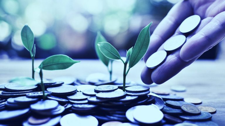 Ünlü Platform, Bu DeFi Altcoin’ini Seçti: İşte Değerli Duyuru!