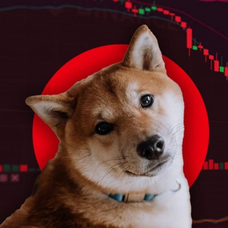 2 Analist: Dogecoin ve SHIB İçin Bu Düzeyleri Bekleyin!