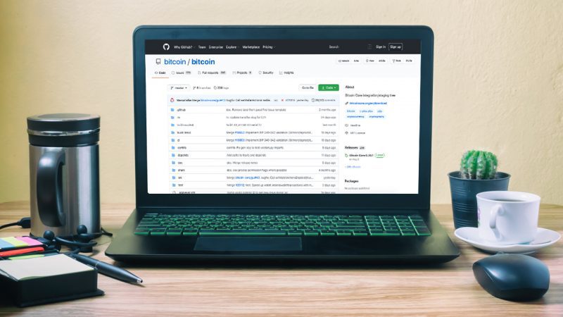 20 Altcoin İçin Github Bilgileri Çıktı: İşte Başkan Olanlar!