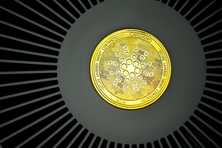 2022 Cardano Yılı Olabilir! İşte Değerli ADA İddiaları