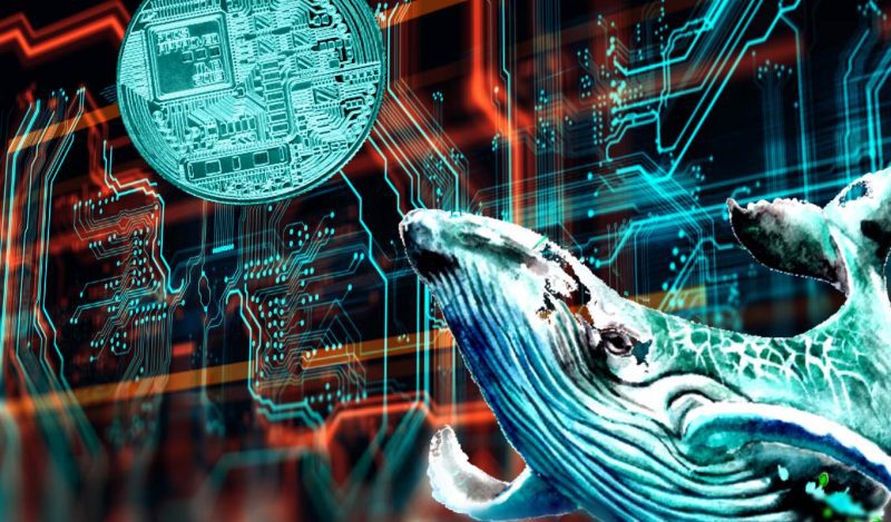 Aç Balinalar, Bu Metaverse Coin’leri Stokluyor: İşte Liste!