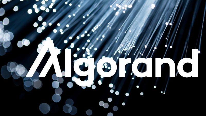Algorand Nedir? 2022 İçin Âlâ Bir Altcoin Yatırımı Mı?