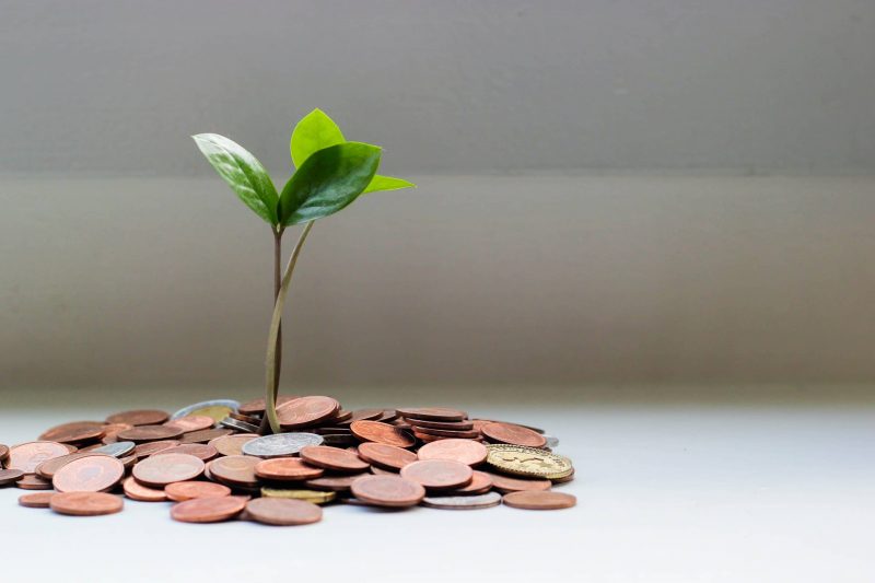 Analist, 2022’ye Damga Vuracak Stake Coinleri Açıkladı!