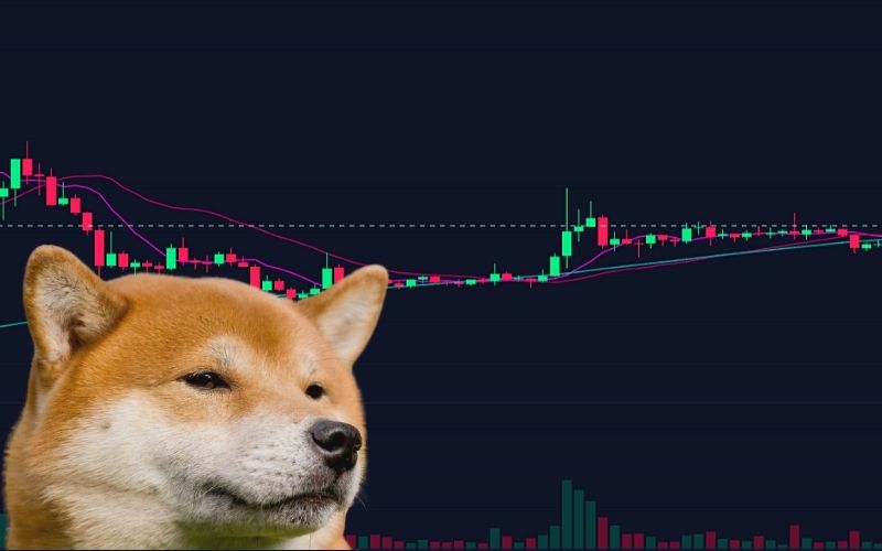 Analist Korkuttu: Dogecoin Bu Düzeylere Çökebilir!