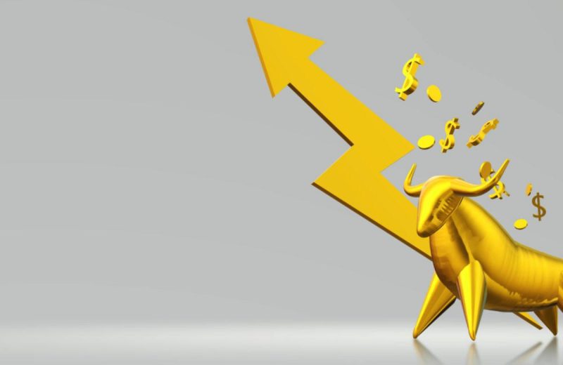 Analistler: Bitcoin Düşerken Bu Altcoin İçin Devasa Yıl Olacak!