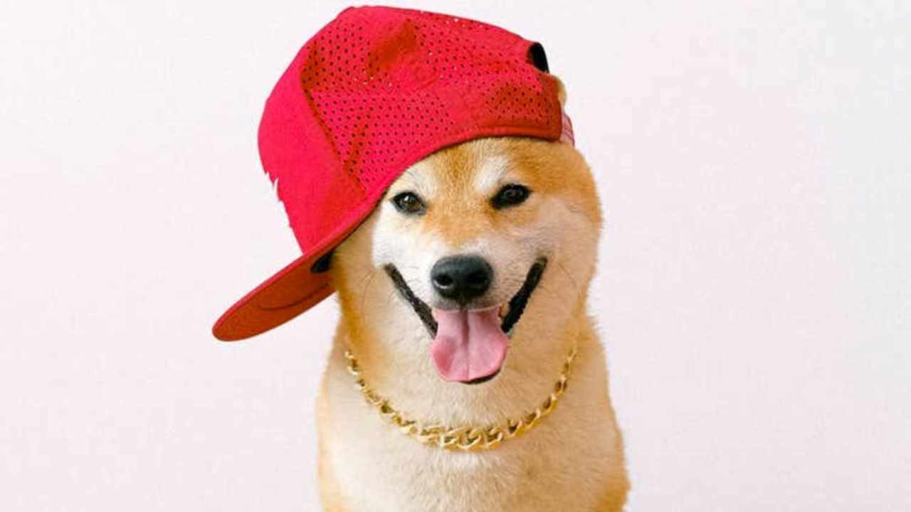 Analistten Çarpıcı Shiba Inu Varsayımı: Şubat’ta…