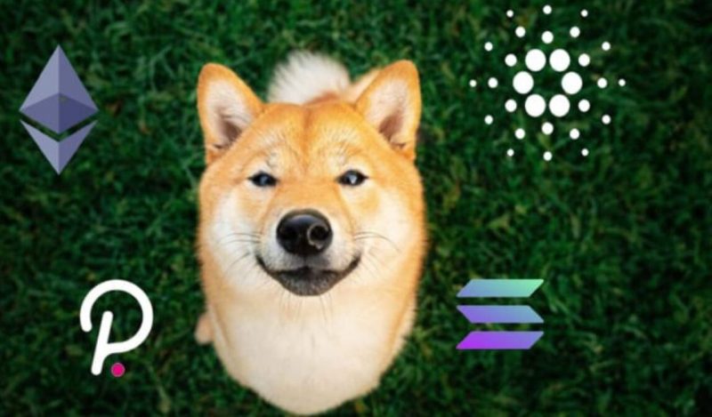 Aya Bakan Altcoin’ler Açıklandı: SHIB ve Bu 8 Altcoin Listede!