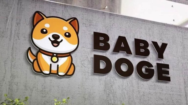 Baby Doge, BSC’de En Çok Süreç Gören Kripto Paralar Ortasında Birinci Sırada Yer Aldı