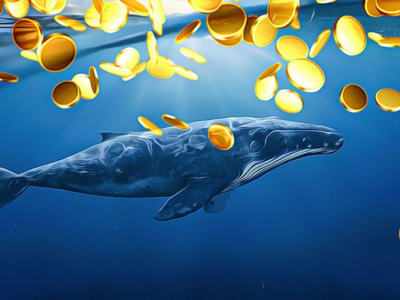 Balina Yeni Avlarını Duyurdu: Bu Metaverse Coin’lere Dikkat!