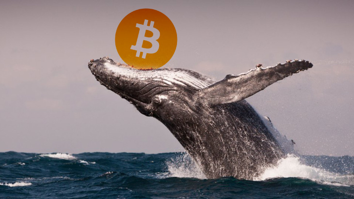 Bir Balina, Onmilyonluk Bitcoin’leri Coinbase Yığdı! Neler Olabilir?